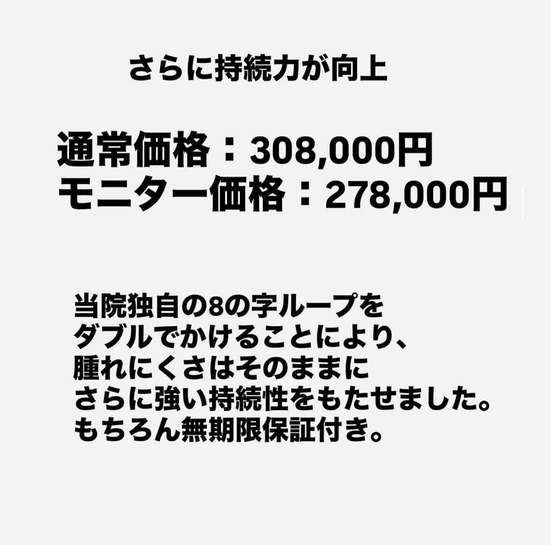 埋没法pal-8説明