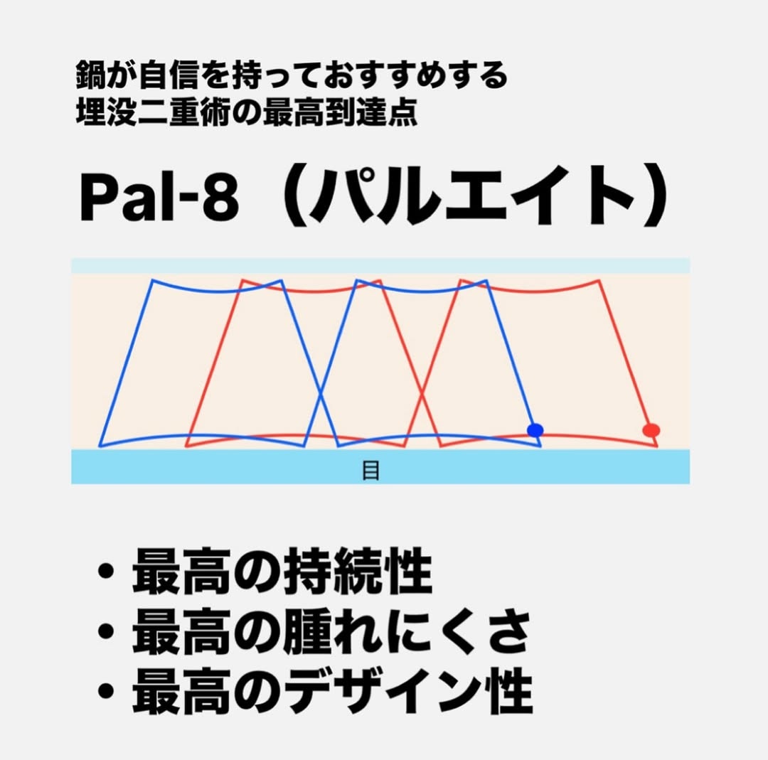 埋没法pal-8